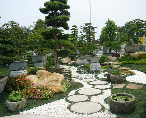 合肥道路景觀綠化工程施工 安徽天倫市政建設(shè)公司的專業(yè)實踐