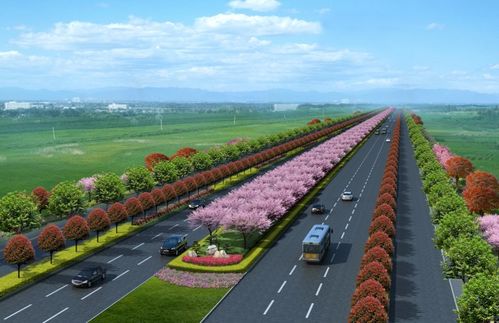 新機場大道景觀綠化工程正式開工，打造城市生態(tài)走廊